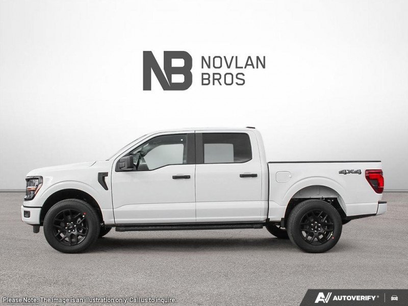 Ford F-150 STX 1FTEW2LP3SKF19026 130243