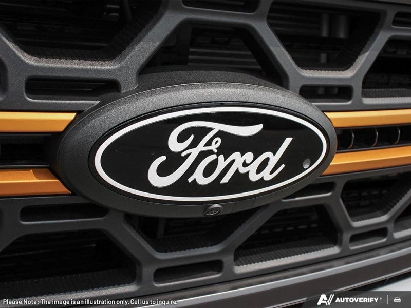 Ford F-150 Tremor  - Leather Seats - Premium Audio 1FTFW4L88SFB99123 128975