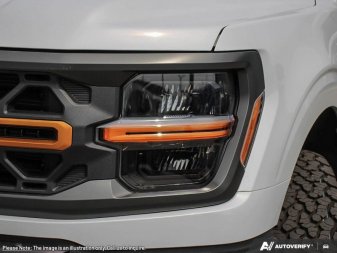 2025 Ford F-150 Tremor  - Leather Seats - Premium Audio - Image 9