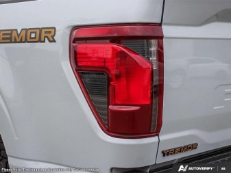 2025 Ford F-150 Tremor  - Tailgate Step - Image 10