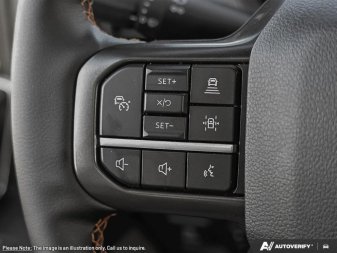 2025 Ford F-150 Tremor  - Tailgate Step - Image 14
