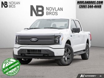 2025 Ford F-150 Lightning Flash - Image 0