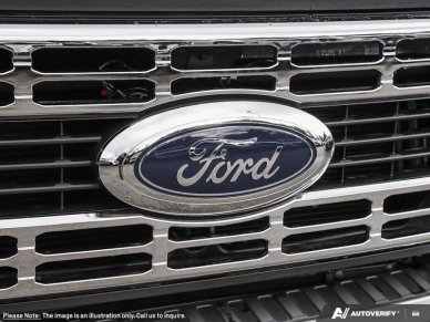 2025 Ford F-350 Super Duty XLT  - Running Boards - Image 8