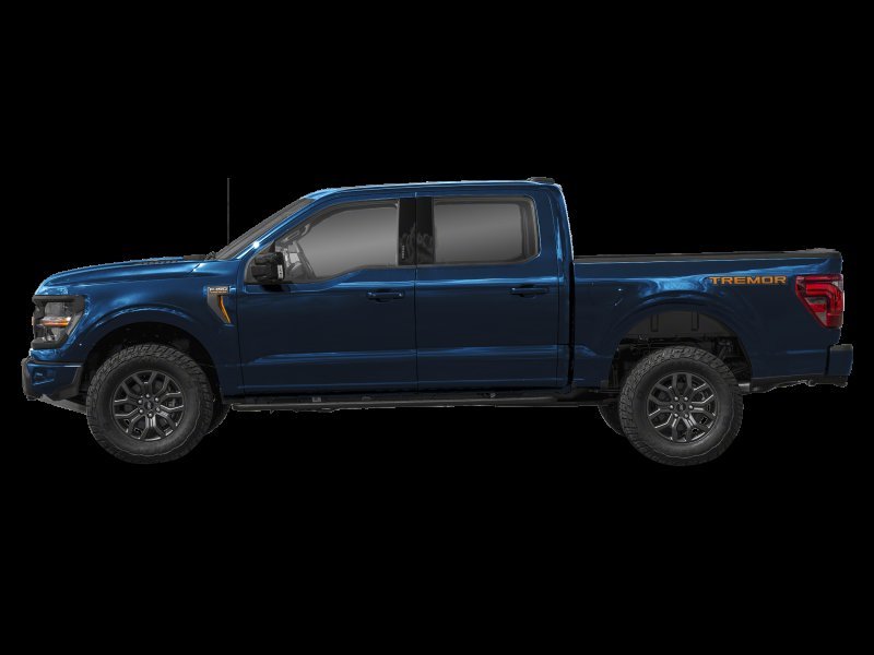 Ford F-150 Tremor  - Tailgate Step 1FTFW4L5XSFC31298 129433
