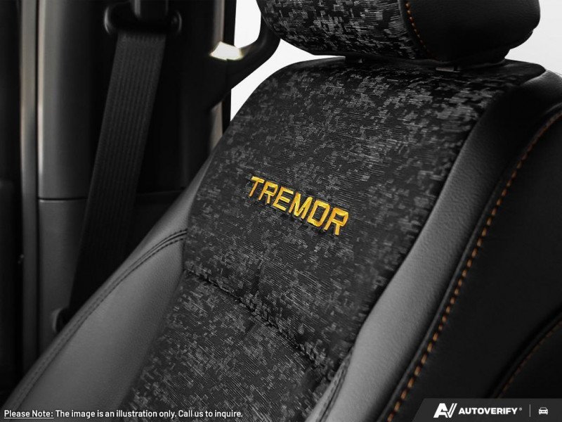 Ford F-150 Tremor  - Tailgate Step 1FTFW4L84SFC29993 129738