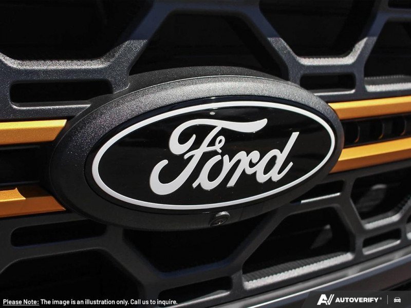 Ford F-150 Tremor  - Tailgate Step 1FTFW4L84SFC29993 130572