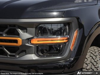 Ford F-150 Tremor  - Tailgate Step 1FTFW4L84SFC29993 129729