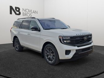 2025 Ford Expedition Platinum - Image 1