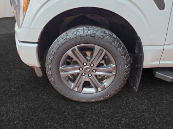 Ford F-150 Lariat  - Leather Seats - Heated Seats 1FTEW1EP3PFA96827 131515