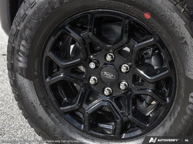 2025 Ford F-150 XLT - Image 6