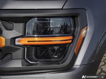 2025 Ford F-150 Tremor  - Leather Seats - Sunroof - Image 9