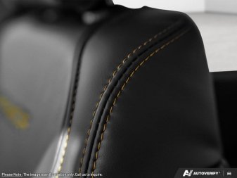 2025 Ford F-150 Tremor  - Leather Seats - Sunroof - Image 19