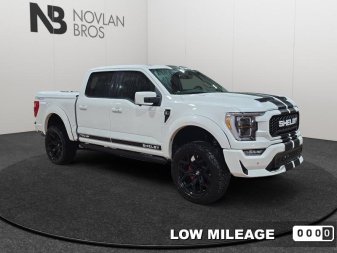 Ford F-150 Shelby Off Road  - SHELBY OFF ROAD 1FTFW1E55NFA88115 131888