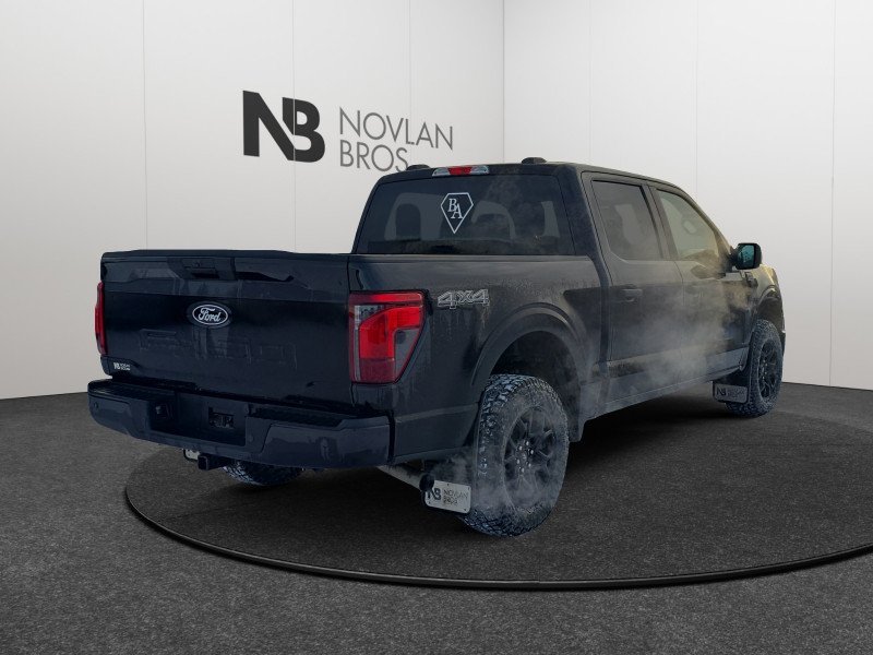 Ford F-150 STX  - Bucket Seats 1FTEW2LPXSKE05265 132149