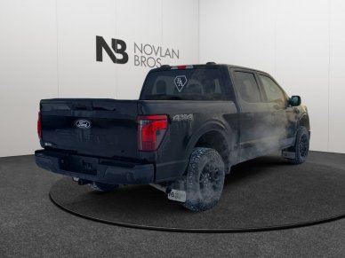 2025 Ford F-150 STX  - Bucket Seats - Image 5