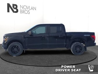 2025 Ford F-150 STX  - Bucket Seats - Image 2