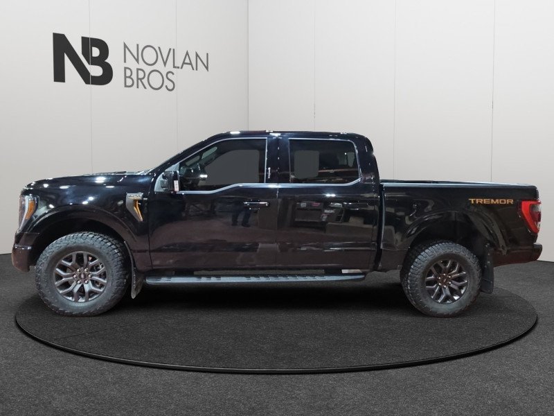 Ford F-150 Tremor  - Navigation - Sunroof 1FTEW1E83NFA55121 132571