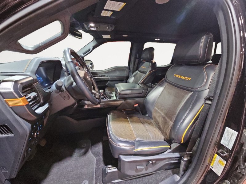 Ford F-150 Tremor  - Navigation - Sunroof 1FTEW1E83NFA55121 132577