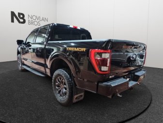 2022 Ford F-150 Tremor  - Navigation - Sunroof - Image 3