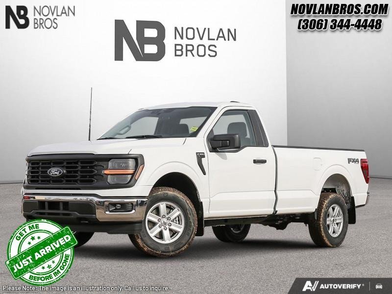 Ford F-150 XL 1FTMF1L50SKF62694 132451