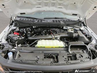 2025 Ford F-150 XL - Image 5