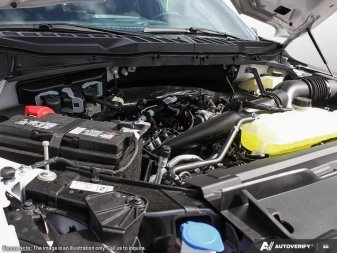 2025 Ford F-150 XLT  - Tow Package - Tailgate Step - Image 5