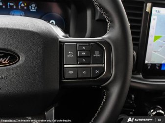 2025 Ford F-150 XLT  - Tow Package - Tailgate Step - Image 13