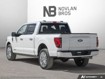 2025 Ford F-150 Platinum - Image 3
