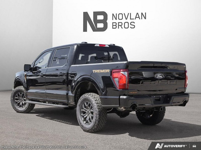 Ford F-150 Tremor  - Tailgate Step 1FTFW4L82SFC62183 133372