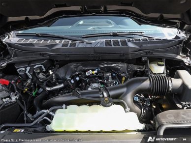 2025 Ford F-150 XLT - Image 5