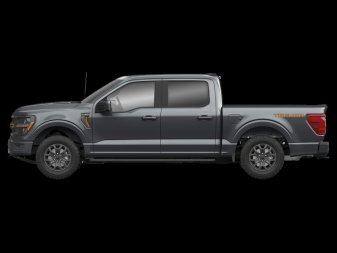 Ford F-150 Tremor  - Tailgate Step 1FTFW4L87SFC63121 134170