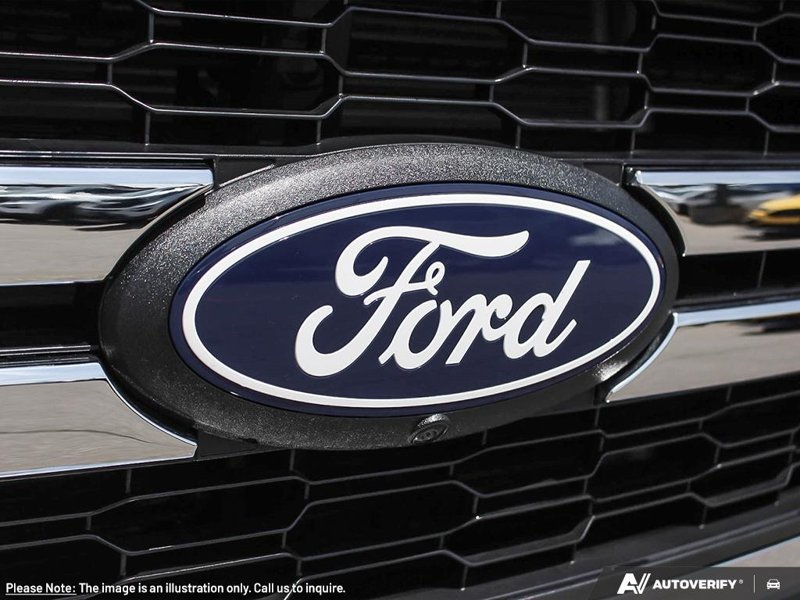 Ford F-150 Shelby Off Road  -  premium luxury 1FTFW5L5XTFA48734 140067