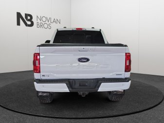 2022 Ford F-150 XLT  - Sunroof - Heated Seats - Image 5