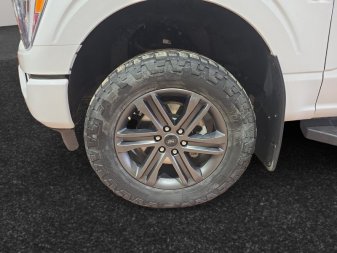 2022 Ford F-150 XLT  - Sunroof - Heated Seats - Image 14