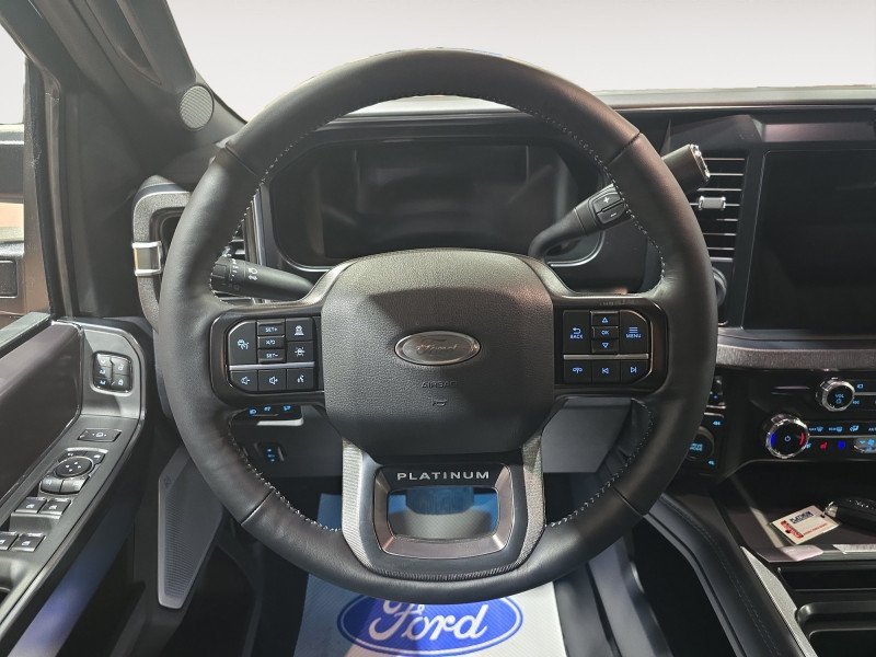 Ford F-350 Super Duty Platinum  - Premium Audio 1FT8W3BT2TED59660 135644