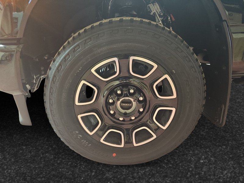 Ford F-350 Super Duty Platinum  - Premium Audio 1FT8W3BT2TED59660 135647