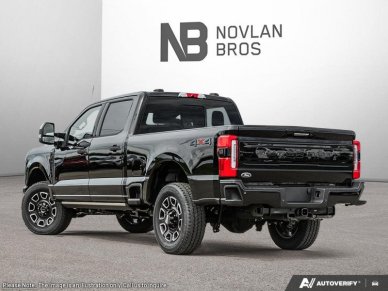 Ford F-350 Super Duty Platinum  - Premium Audio 1FT8W3BTXTED96228 135953