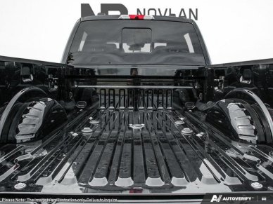 Ford F-350 Super Duty Platinum  - Premium Audio 1FT8W3BTXTED96228 135956