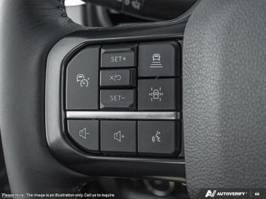 Ford F-350 Super Duty Platinum  - Premium Audio 1FT8W3BTXTED96228 135963