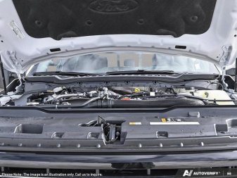 Ford F-350 Super Duty Platinum  - Premium Audio 1FT8W3BM0TED84551 136059