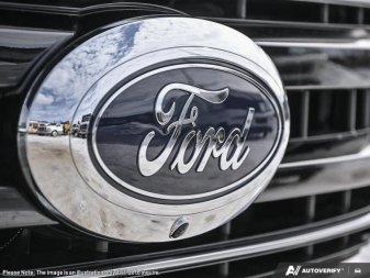 Ford F-350 Super Duty Platinum  - Premium Audio 1FT8W3BM0TED84551 136062