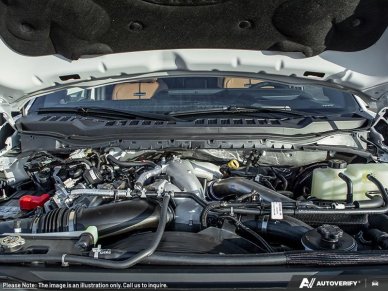 Ford F-350 Super Duty Platinum  - Power Stroke 1FT8W3BT2TEC79517 140313