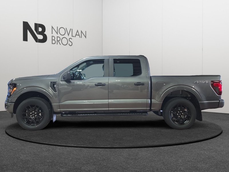 Ford F-150 STX  - 20 inch Wheels - Fog Lamps 1FTEW2LP4TKD38342 137005