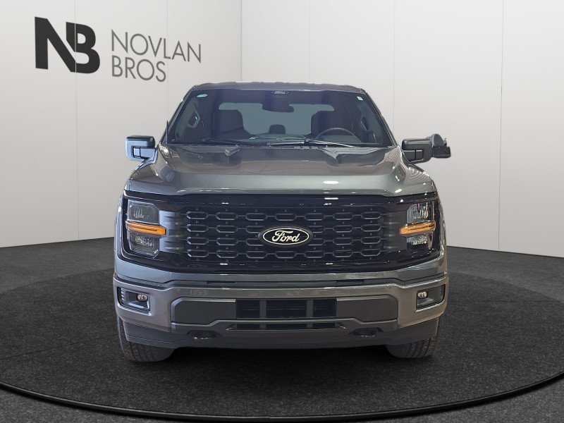 Ford F-150 STX  - 20 inch Wheels - Fog Lamps 1FTEW2LP4TKD38342 137010