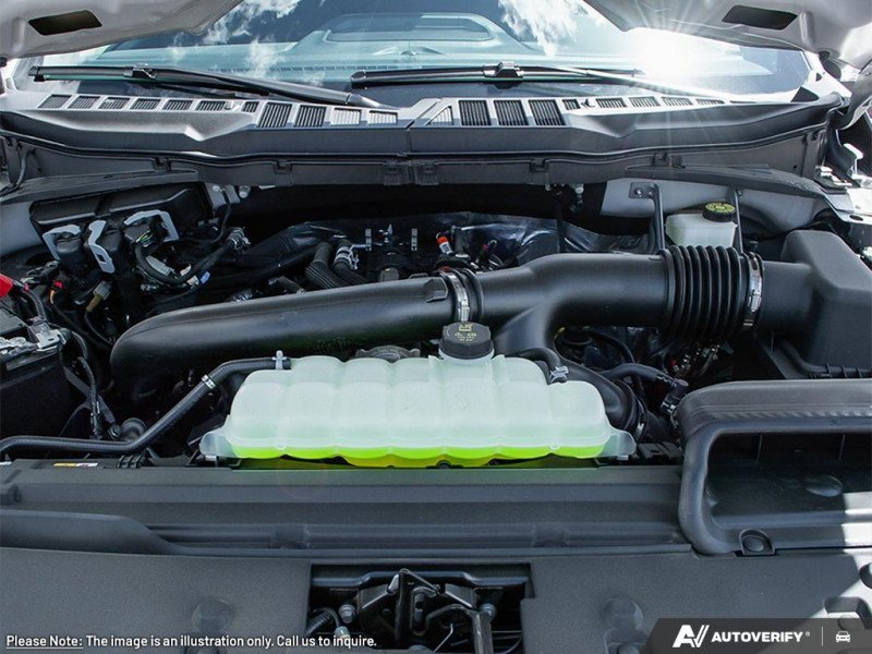 Ford F-150 XLT  - Tow Package - Tailgate Step 1FTFW3L53TKD56324 137409