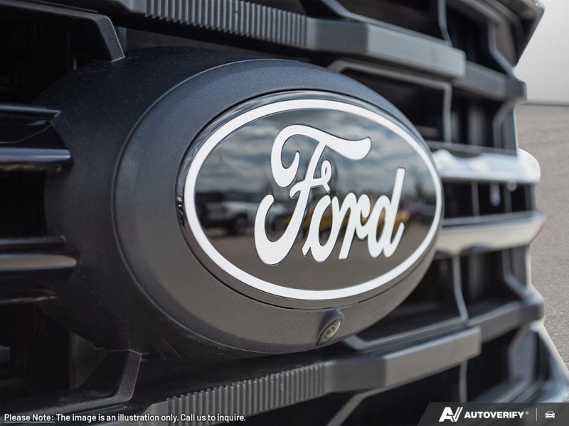 Ford F-150 XLT  - Tow Package - Tailgate Step 1FTFW3L53TKD56324 137411