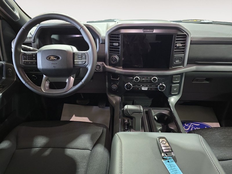 Ford F-150 XLT  - Tailgate Step 1FTFW3LD6TFA36558 138272