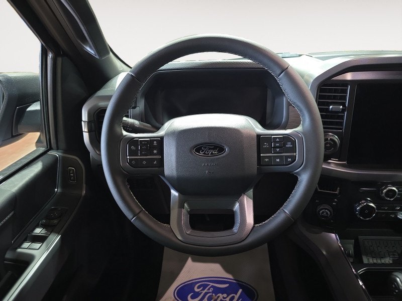 Ford F-150 XLT  - Tailgate Step 1FTFW3LD6TFA36558 138274