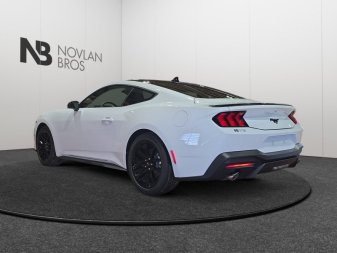 2026 Ford Mustang EcoBoost - Image 3