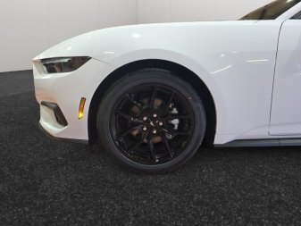 2026 Ford Mustang EcoBoost - Image 11